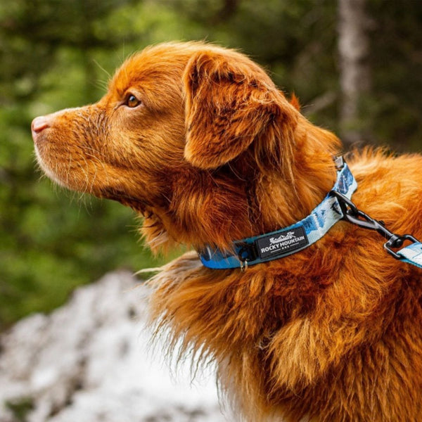 Rocky Mountain Dog Kootenay Alpine Dog Collar