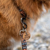 Rocky Mountain Dog S-Carabiner