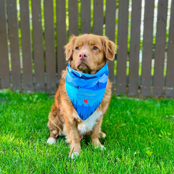 Rocky Mountain Dog Kootenay Bandana