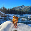 Rocky Mountain Dog Squamish Eco-Friendly Dog Rope Leash