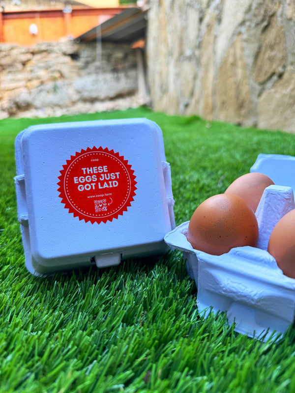 The Smart Coop "Just Got Laid" 4-Egg Carton
