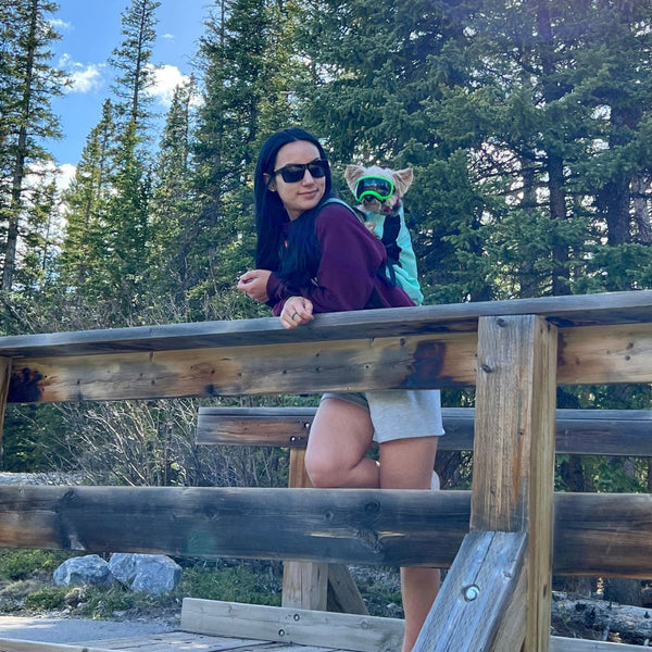 Rocky Mountain Dog K9 Sport Sack® Air 2 Backpack