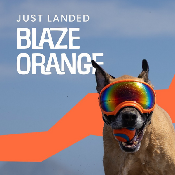 Rocky Mountain Dog V2 Large Dog Goggles