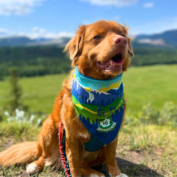 Rocky Mountain Dog Jasper National Park Dog Bandana