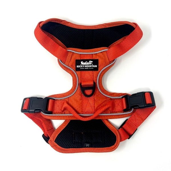Rocky Mountain Dog Summit All-Terrain Dog Harness
