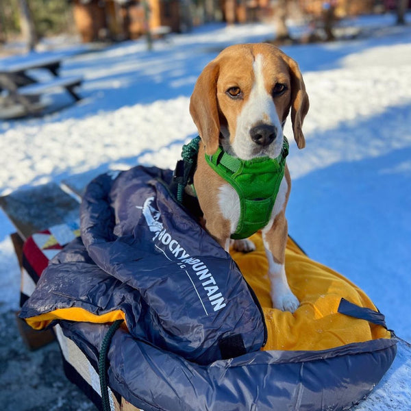 Rocky Mountain Dog Yukon Dog Sleeping Bag