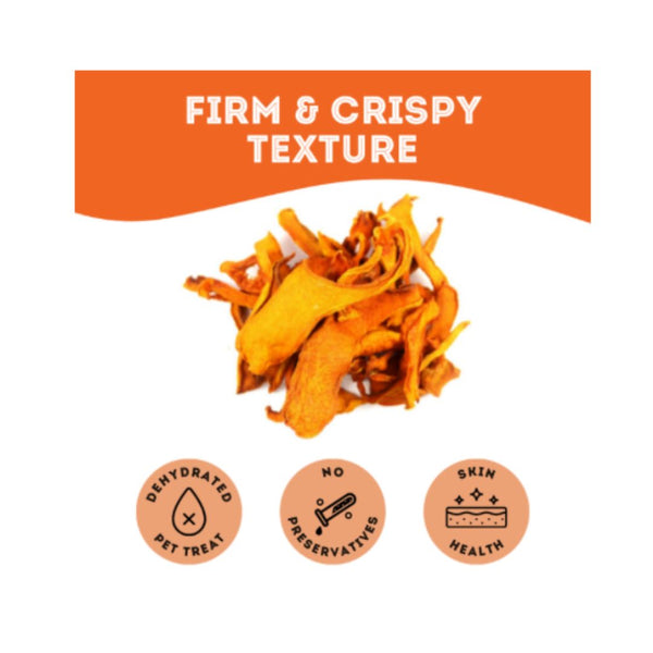 The Granville Island Pet Treatery Once Upon a Time - Premium Dehydrated Pumpkin Protein Treats For Dogs (80g bag)