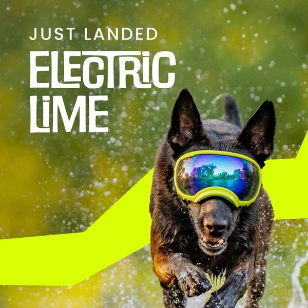 Rocky Mountain Dog V2 Small Dog Goggles