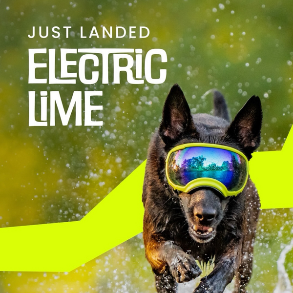 Rocky Mountain Dog V2 Large Dog Goggles