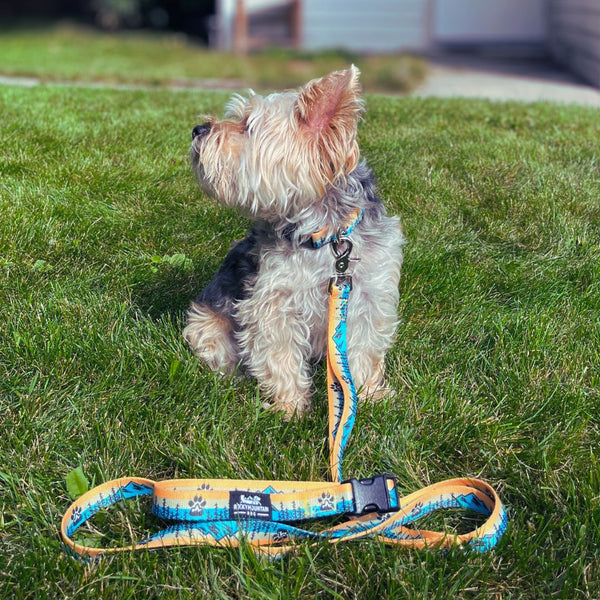 Rocky Mountain Dog Paw Mountain Dog Collar