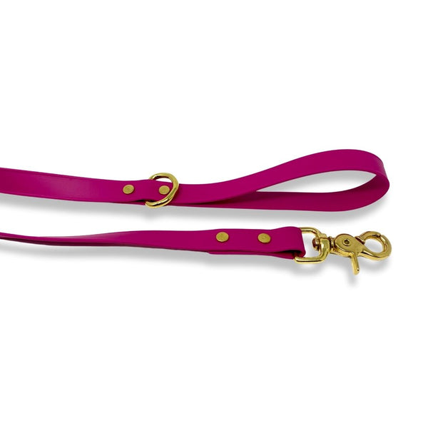 Rocky Mountain Dog Biothane Leashes