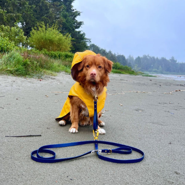 Rocky Mountain Dog Tofino Rain Jacket