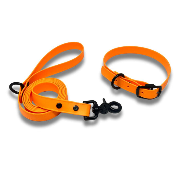 Rocky Mountain Dog Biothane Leashes