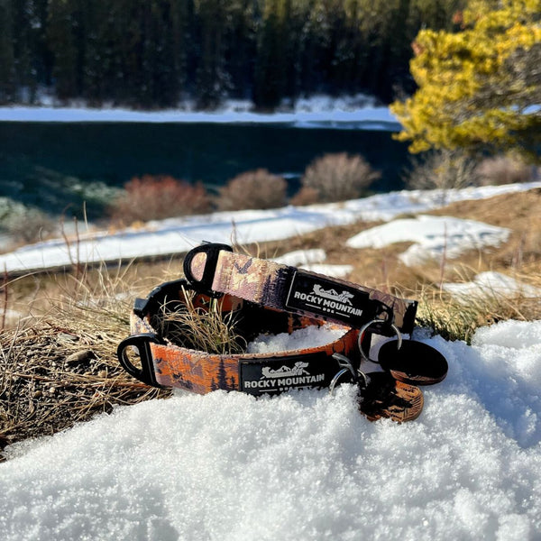Rocky Mountain Dog Ranger Alpine Collar
