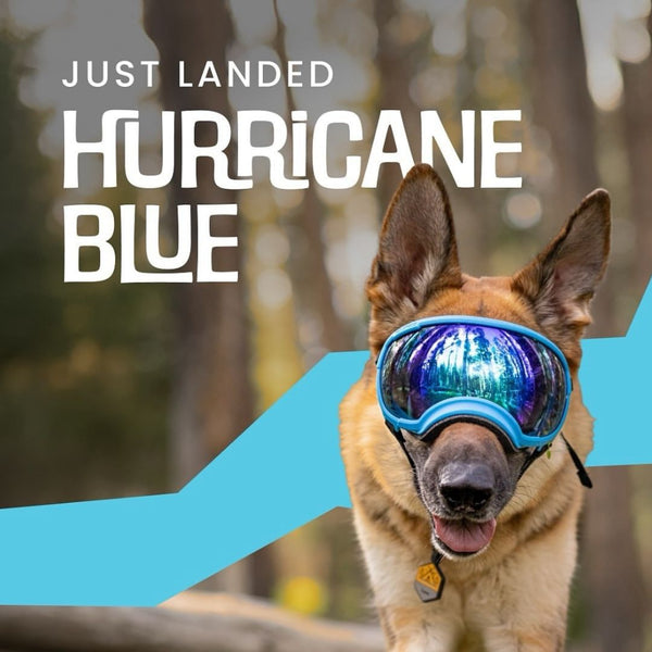 Rocky Mountain Dog V2 Extra Small Dog Goggles