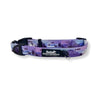 Rocky Mountain Dog PNW Alpine Dog Collar