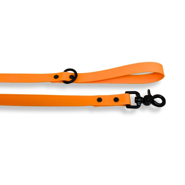 Rocky Mountain Dog Biothane Leashes