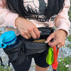 Rocky Mountain Dog Aspen Fanny Pack