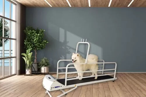 GoPet Large Breed Treadmill