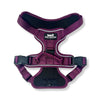 Rocky Mountain Dog Summit All-Terrain Dog Harness