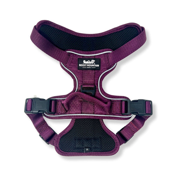 Rocky Mountain Dog Summit All-Terrain Dog Harness