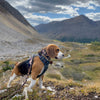 Rocky Mountain Dog Ranger Alpine Collar