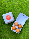 The Smart Coop "Just Got Laid" 4-Egg Carton