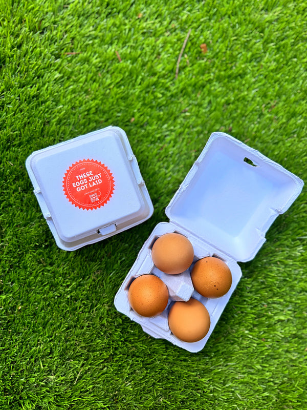 The Smart Coop "Just Got Laid" 4-Egg Carton