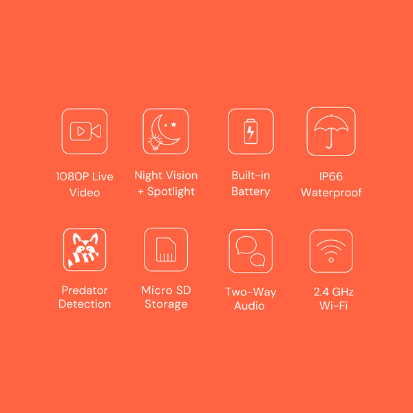 The Smart Coop Smart CoopCam
