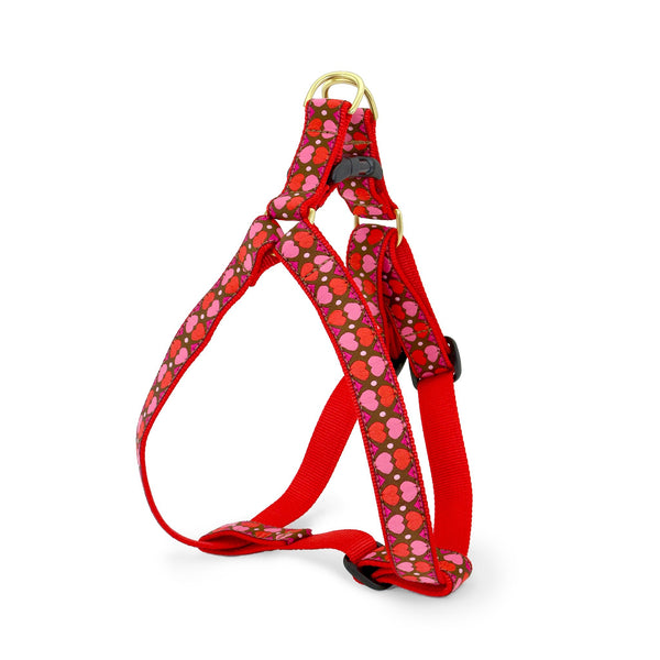 Up Country All Hearts Dog Harness