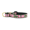 Up Country Alligator Martingale Dog Collar