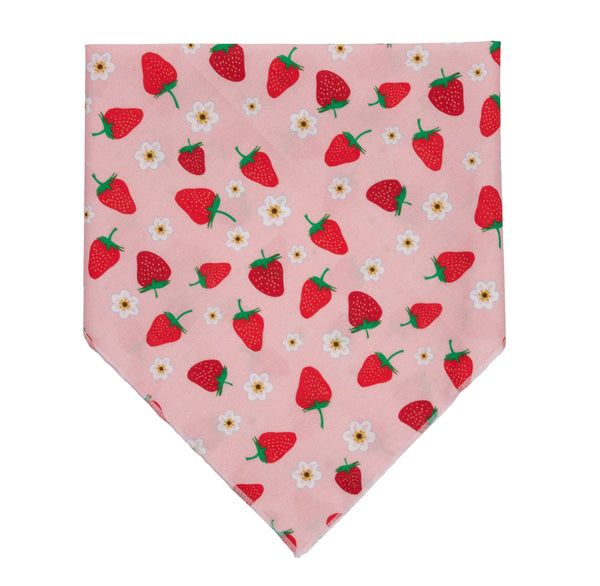 Up Country Strawberry Bandana