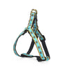 Up Country Bee Small Breed Dog Harness