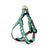 Up Country Beer Small Breed Dog Harness