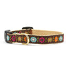 Up Country Bella Floral Small Breed Dog Collar