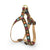 Up Country Bella Floral Dog Harness