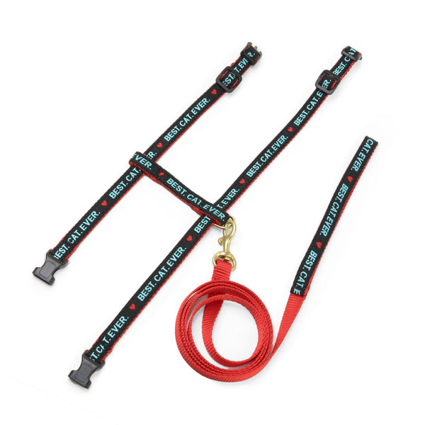 Up Country Best Cat Ever Cat Harness Set