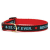 Up Country Best Cat Ever Cat Collar