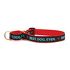 Up Country Best Dog Ever Martingale Dog Collar
