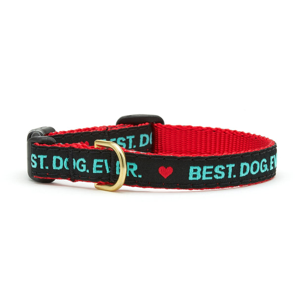 Best Dog Ever Small Breed Dog Harness Teacup
