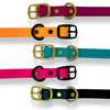 Rocky Mountain Dog Biothane Waterproof Dog Collars