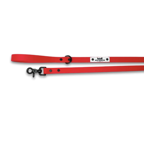 Rocky Mountain Dog Biothane Leashes