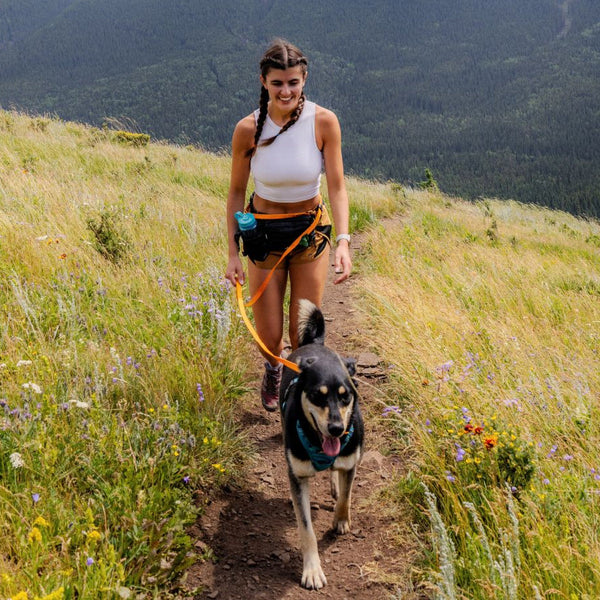 Rocky Mountain Dog Hands-Free Biothane Waterproof Leashes - Swivel Carabiner