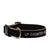 Up Country Color Market Dog Collar - Extra Wide 1.5"