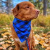 Rocky Mountain Dog Flannel Dog Bandana