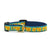 Up Country Bright Sunflower Small Breed Dog Collar