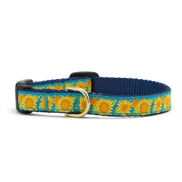 Up Country Bright Sunflower Small Breed Dog Collar