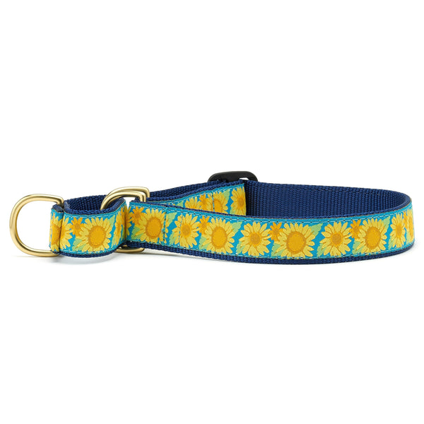 Up Country Bright Sunflower Martingale Dog Collar