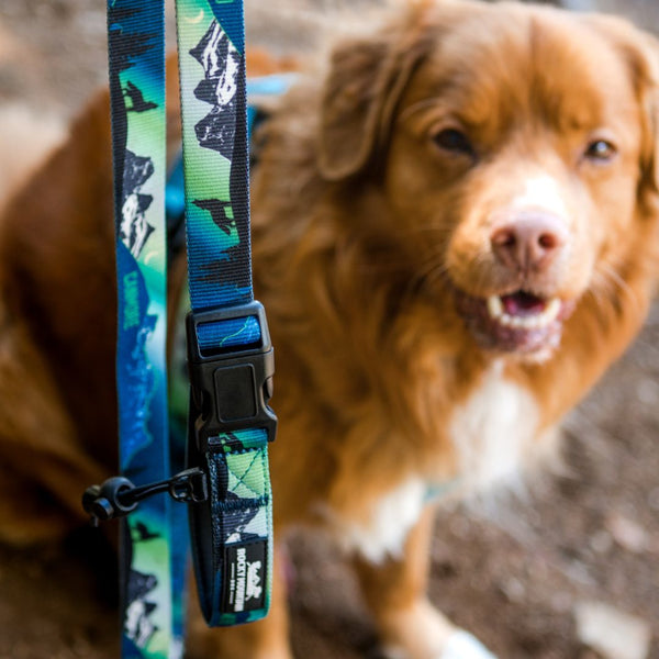 Rocky Mountain Dog V2 Canmore All Mountain Dog Leash