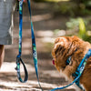 Rocky Mountain Dog V2 Canmore All Mountain Dog Leash